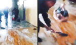 Lustiges Video - Kasernen-Curling