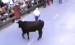 Lustiges Video : Stier macht eine Ausnahme