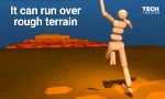 Funny Video : Googles DeepMind AI lernt alleine laufen