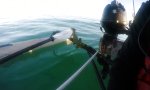 Lustiges Video : Ungewöhnliche Rettung 6km vor der Küste