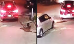 Lustiges Video - Mofa mit geteilter Meinung