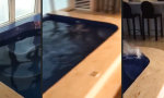 Funny Video - Hochhaus im Sturm - Penthouse-Pool