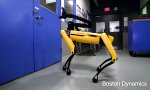 Funny Video - SkyNet am Hintertürchen