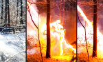 Funny Video : Hochspannung im Winterwald