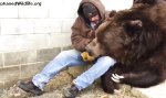 3 Meter großen Bären trösten
