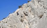 Funny Video : Mann vs Felsen