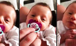 Funny Video : Moin Papa