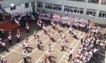 Lustiges Video - Und nun lasst die Tauben fliegen