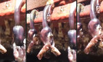 Funny Video : Kleiner Schock im Trockendock
