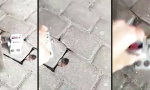 Movie : Workaround