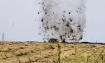 Lustiges Video - Heuwirbel