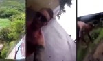 Lustiges Video - Rutsche für Draufgänger