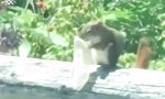 Lustiges Video : Snacktüte mal anders