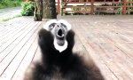 Movie : Aufregende Geschichte