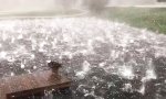 Funny Video - Tosender Teich
