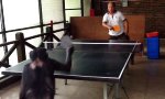 Movie : Jemand Lust auf Tischtennis?