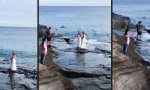 Lustiges Video : Tolles Motiv