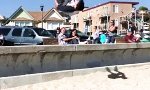 Strandwirbel