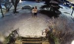 Funny Video - Alaska wurde durchgerüttelt