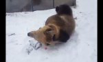 Movie : Spielen im Schnee