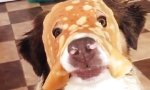 Movie : Gesichtsmaske wider Willen