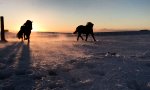 Lustiges Video : Prächtige Bilder aus Island