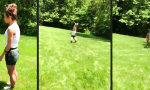 Movie : Natur-Akrobatik