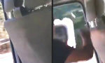 Funny Video : Tag der offenen Türe