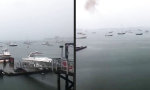 Funny Video - Toller Ausblick