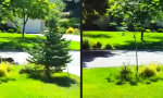 Lustiges Video : Genial oder Faul? Oder beides?