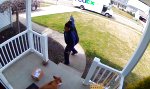 Lustiges Video : Von Hunden und Postboten