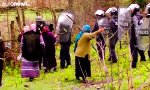 Lustiges Video : Widerstand gegen die Staatsgewalt