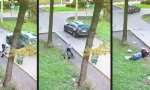 Lustiges Video - Und weg war er