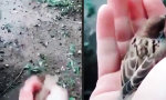 Movie : Lieber den Spatz in der Hand...