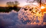 Weihnachtsbaumkugeln by Väterchen Frost