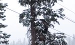 Movie : Bären am Skilift