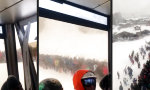 Funny Video : Kleine Schlange am Lift