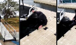 Movie : Eleganter Move zum Pier