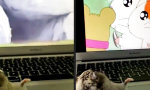 Lustiges Video - Popcorn knabbern im Hamsterkino