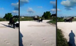 Lustiges Video : Amish Donuts