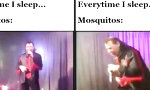 Funny Video : Moskito-Song