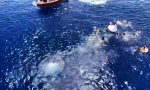 Funny Video : Wenn bei eine Schwimmübung ein Hai auftaucht