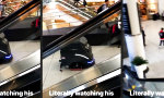 Lustiges Video - Er blickt seiner dunklen Zukunft ins Gesicht