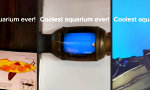 Funny Video - Wenn man sich den Stress mit echten Fischen sparen will