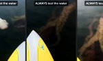 Funny Video : Lieber nicht baden hier