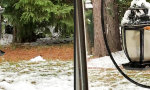 Funny Video : Beim Futterklau sich selbst eingesperrt