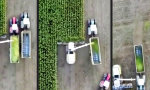 Funny Video - Koordinierte Ernte