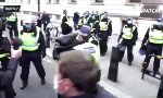 Lustiges Video : Nochmal davon gekommen