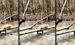 Funny Video : Sehr hilfreich!