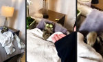 Movie : Ganz normaler Nachmittag im Spa